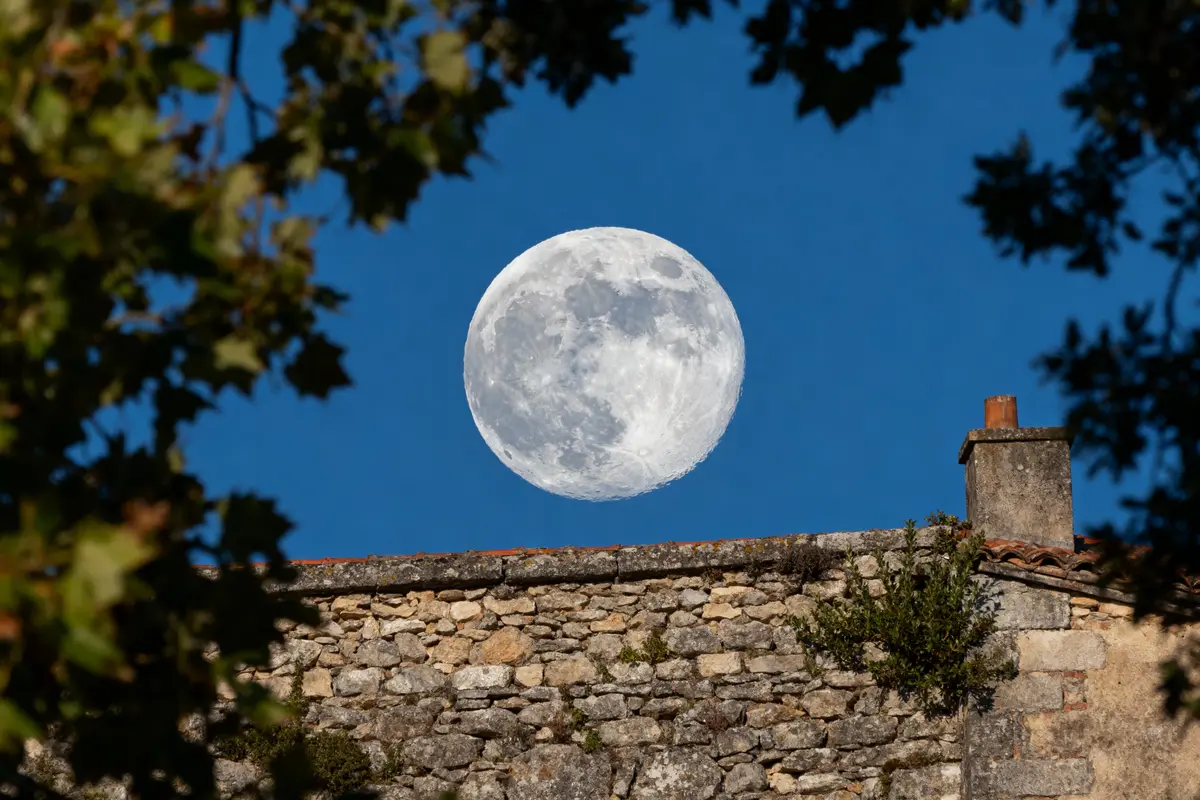 La lune pleine se lève au-dessus d'un mur de pierres, avec des branches en silhouette.
